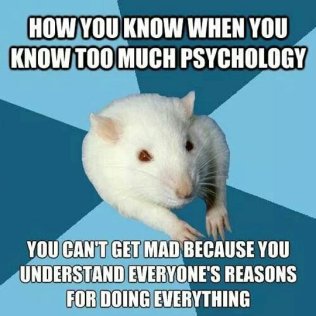 psyfunny-psychology-rat-mad-reasons